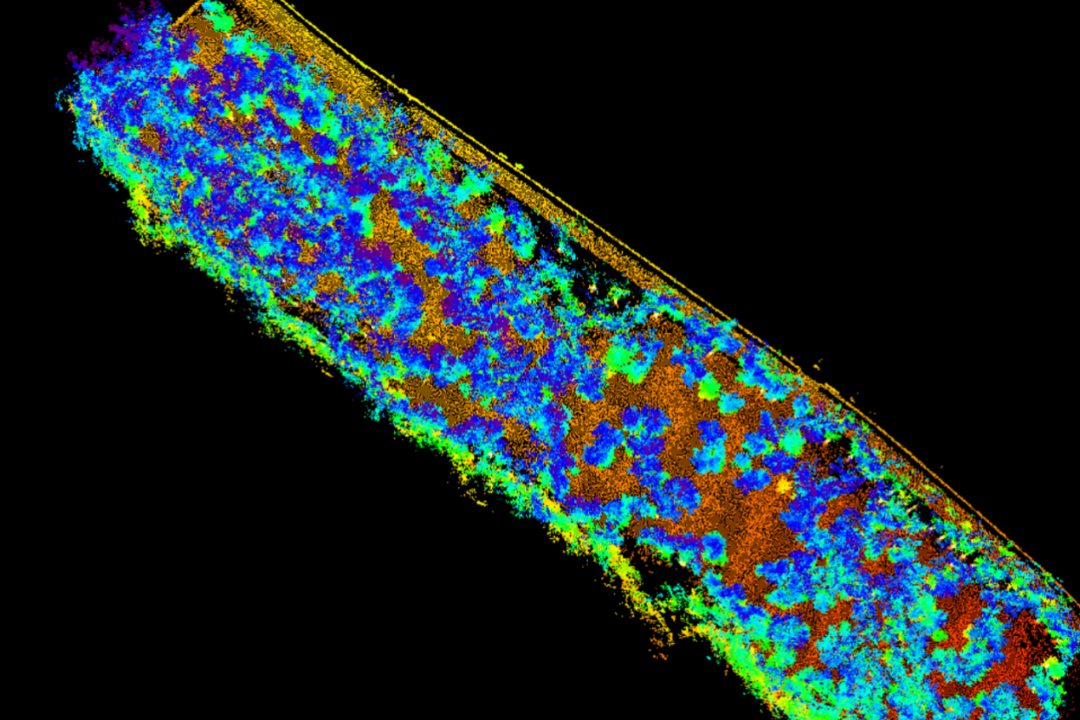 林(lín)業中(zhōng)觀數據(jù)导出(chū)與(yǔ)預處(chù)理(lǐ).png 林(lín)業中(zhōng)觀數據(jù)导出(chū)與(yǔ)預處(chù)理(lǐ).png