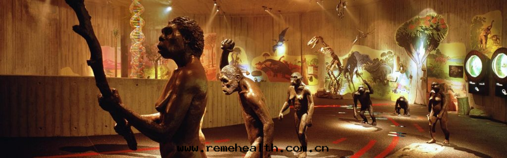 1699852101532636.png 1699852101532636.png