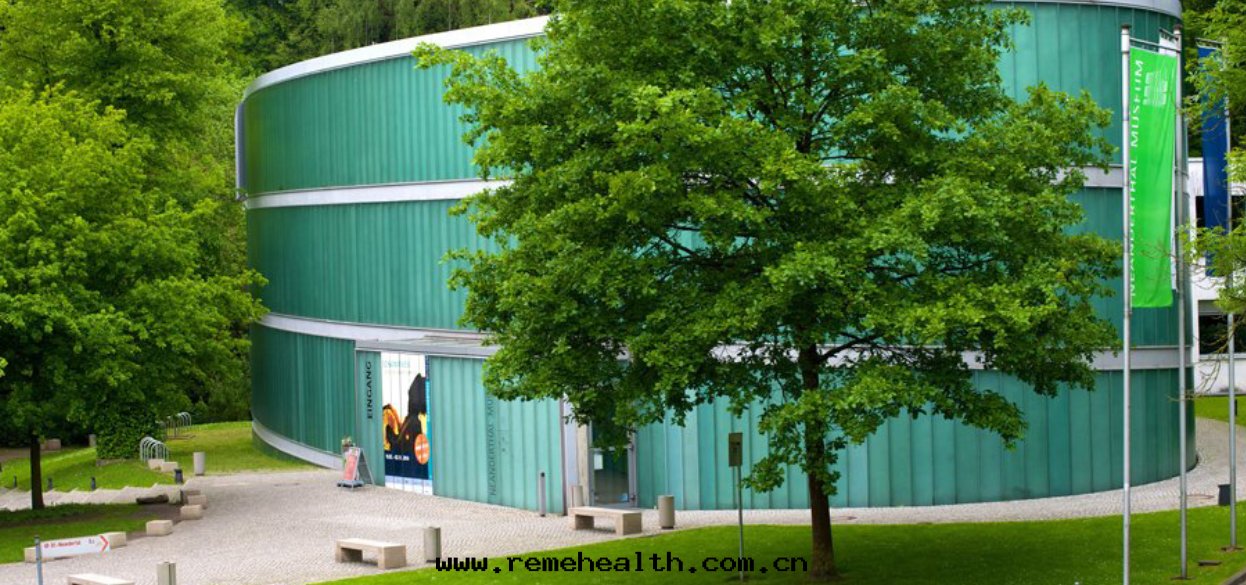 1699852197514630.jpg 1699852197514630.jpg