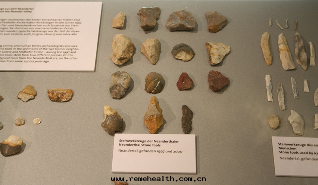 1699852239315489.jpg 1699852239315489.jpg