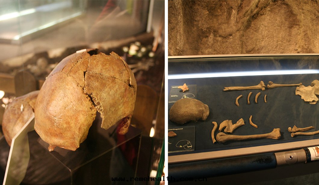 1699852321135430.jpg 1699852321135430.jpg